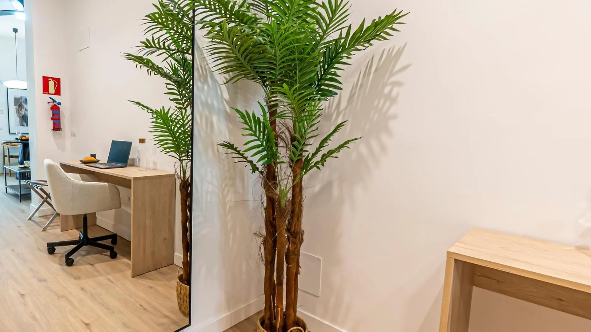 Lezo Cuatro Apartment Malaga